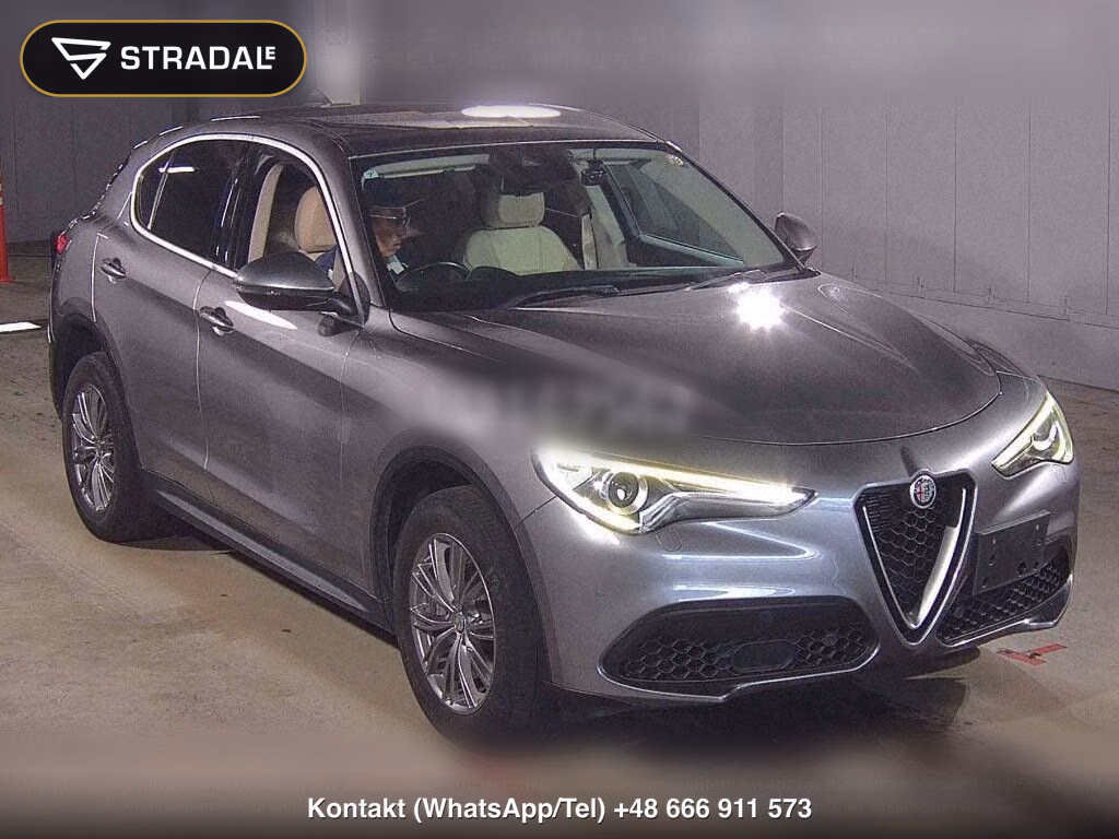 ALFA ROMEO STELVIO 4WD 2.0 TURBO Q4 LUXURY PACKAGE, miniaturka 2