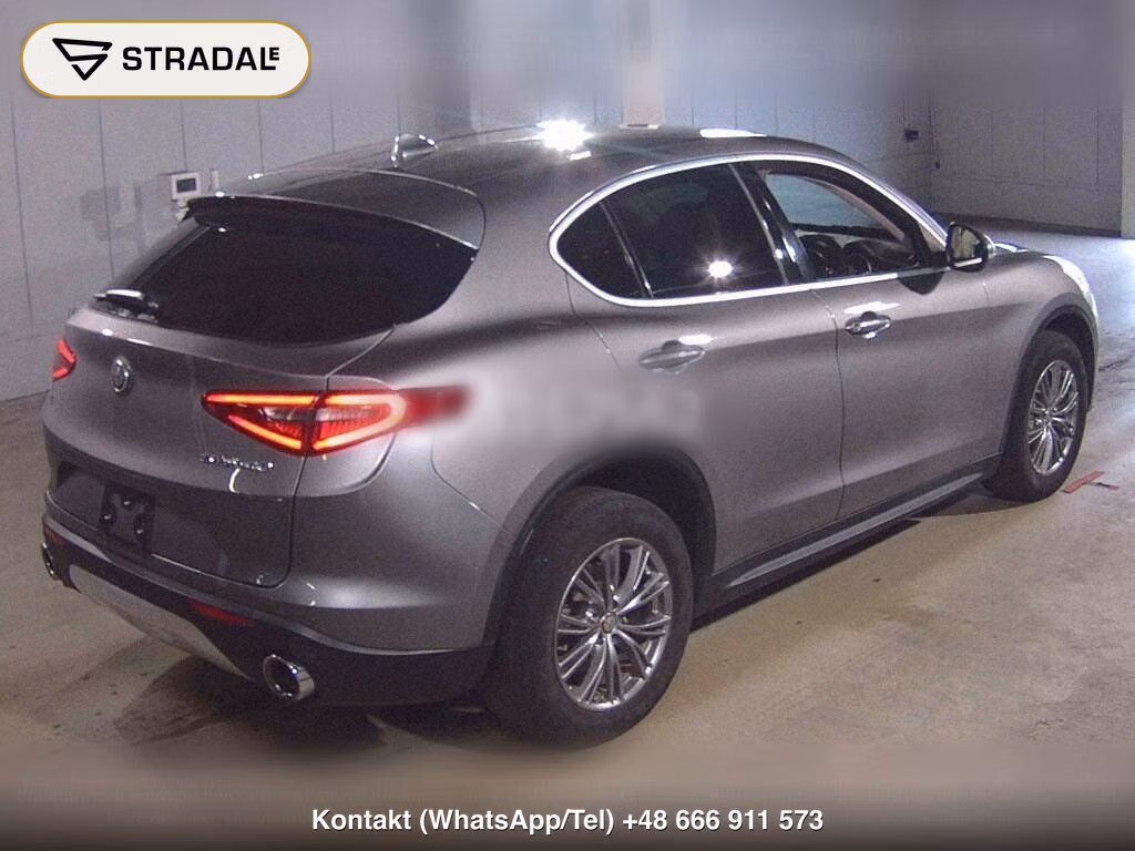 ALFA ROMEO STELVIO 4WD 2.0 TURBO Q4 LUXURY PACKAGE, miniaturka 6