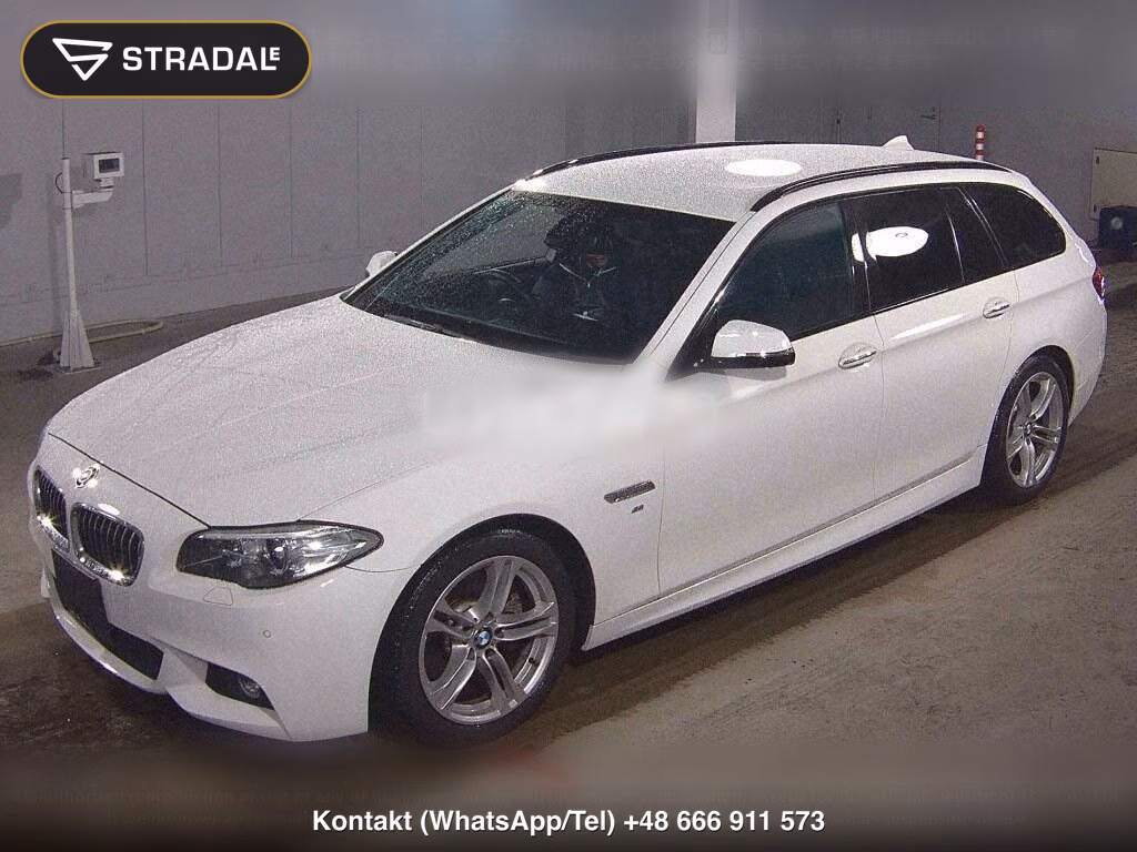 BMW 5 SERIES WG 523I TOURING M-SPORT, miniaturka 5
