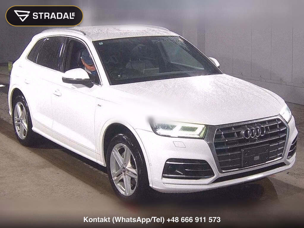 AUDI Q5 4WD 2.0TFSI QUATTRO 1ST EDITION, miniaturka 2