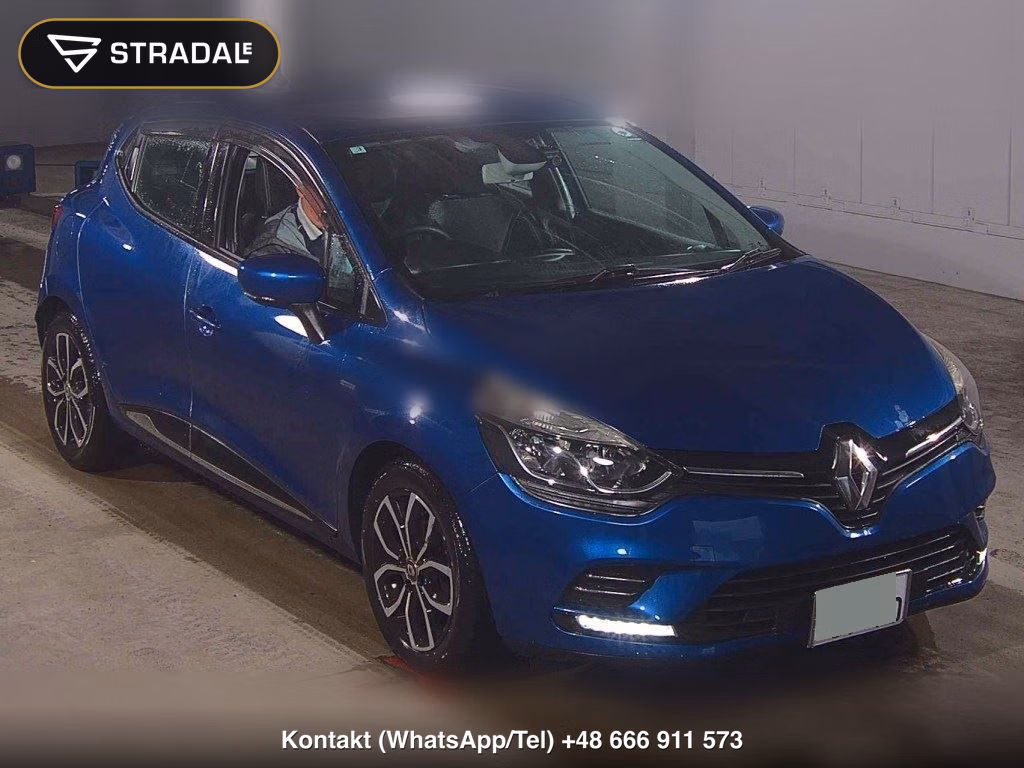RENAULT LUTECIA 5D 2019, aukcja z Japonii, zdjęcie 1