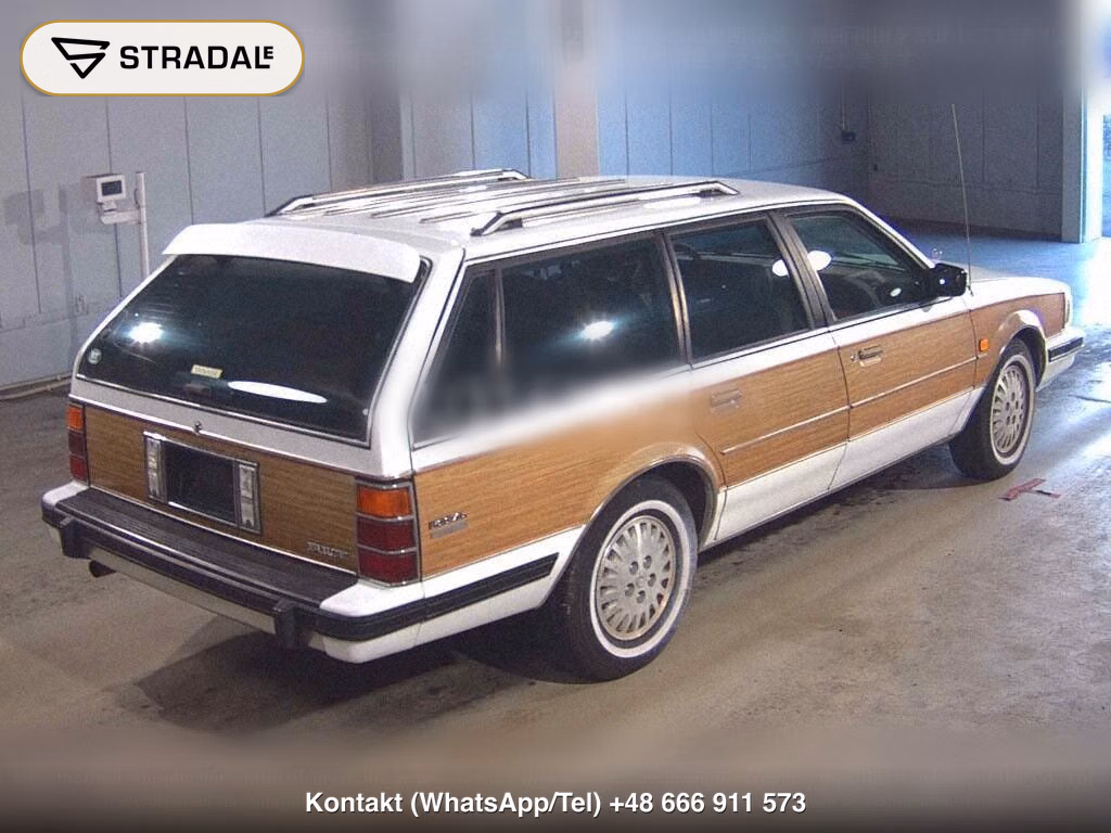 BUICK REGAL WG ESTATE WAGON, miniaturka 6
