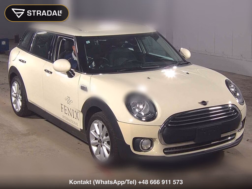 MINI MINI WG 2018, aukcja z Japonii, zdjęcie 1