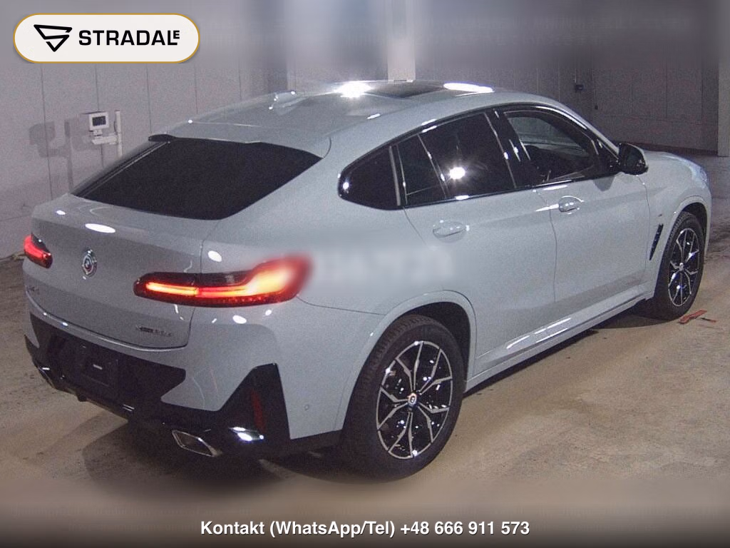 BMW X4 4WD XDRIVE 20D M-SPORT, miniaturka 6