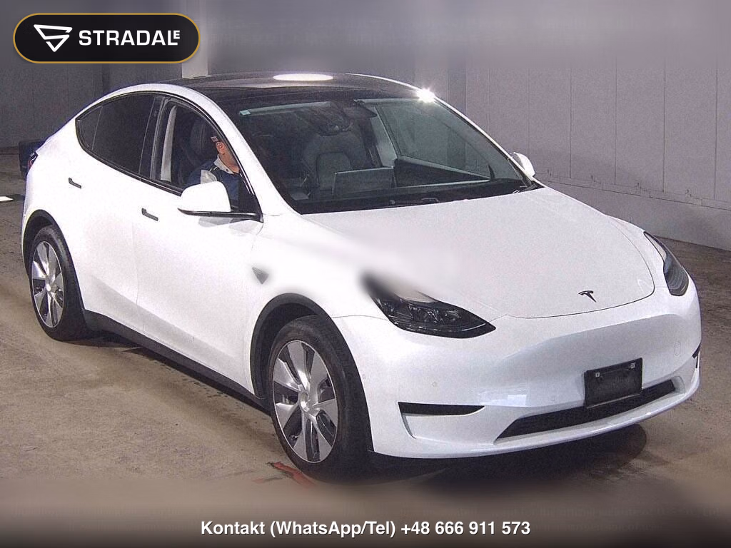 TESLA MODEL Y RWD, miniaturka 2