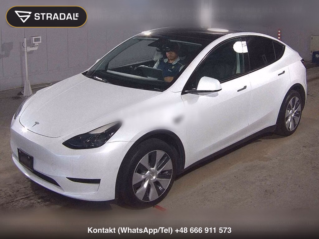 TESLA MODEL Y RWD, miniaturka 5