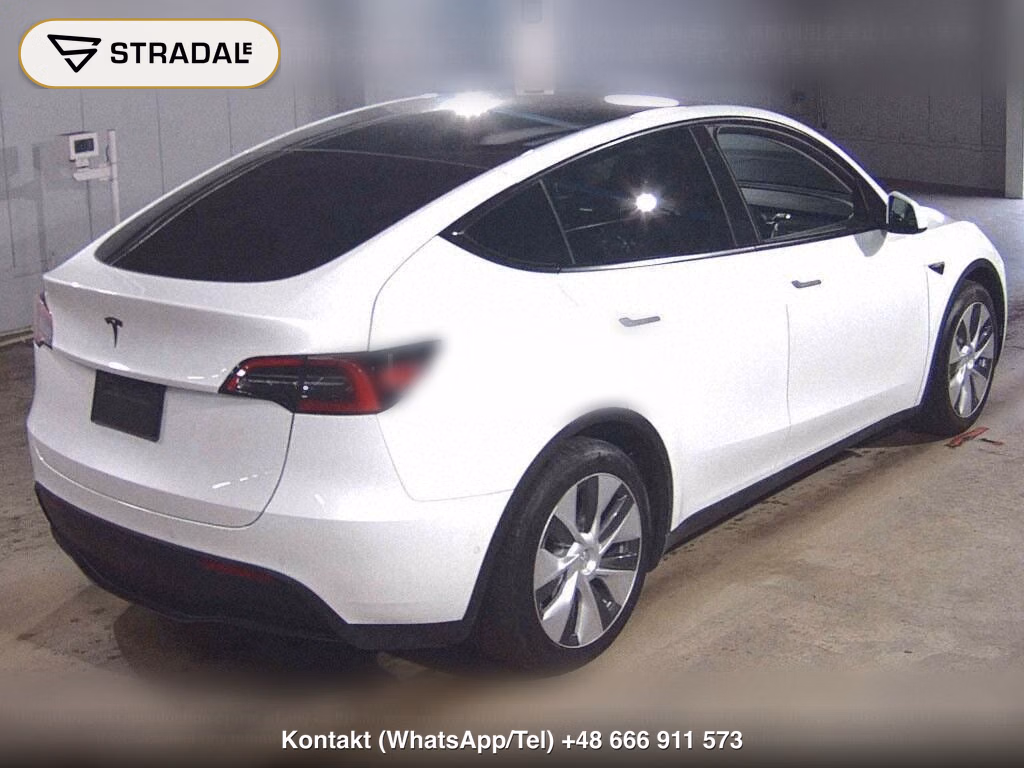 TESLA MODEL Y RWD, miniaturka 6