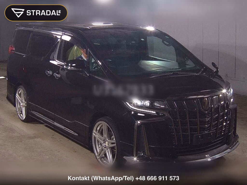 TOYOTA ALPHARD S TYPE GOLDⅢ, miniaturka 2
