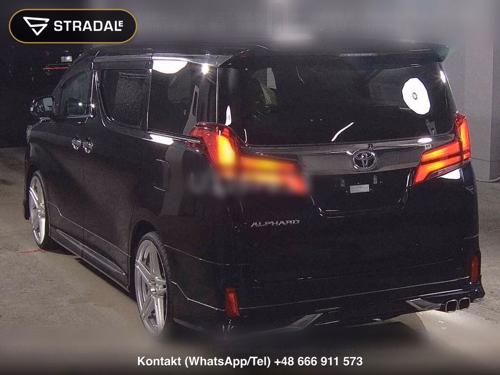 TOYOTA ALPHARD S TYPE GOLDⅢ, miniaturka 3