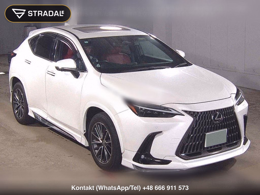 LEXUS NX 4WD NX250, miniaturka 2