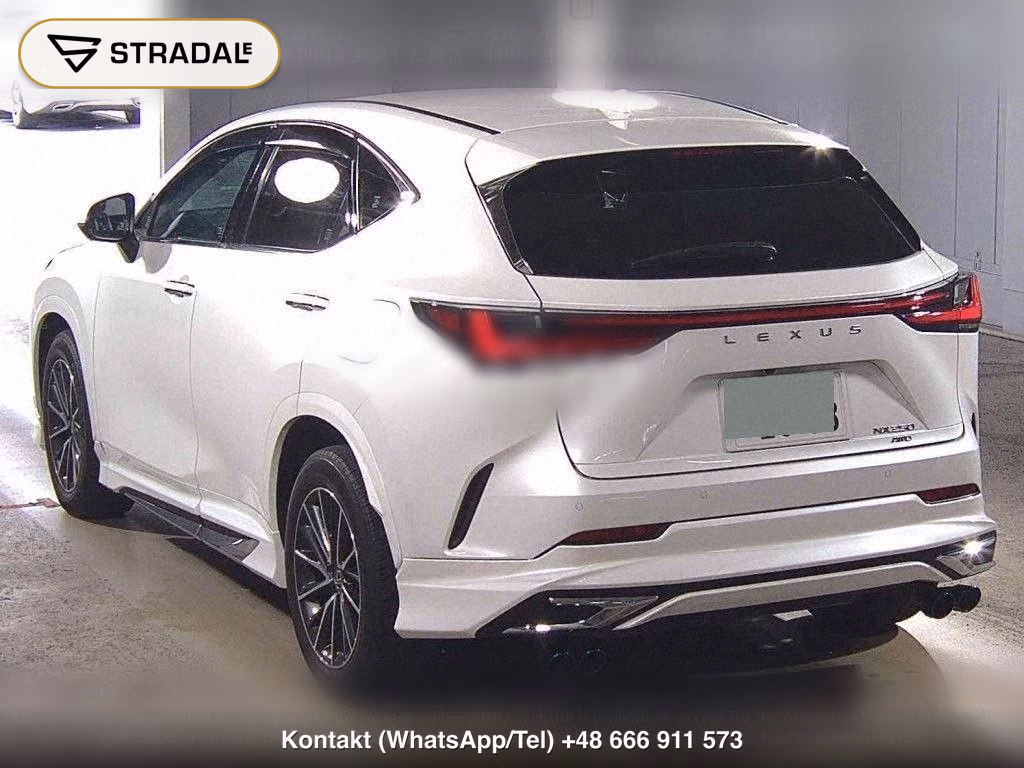 LEXUS NX 4WD NX250, miniaturka 3