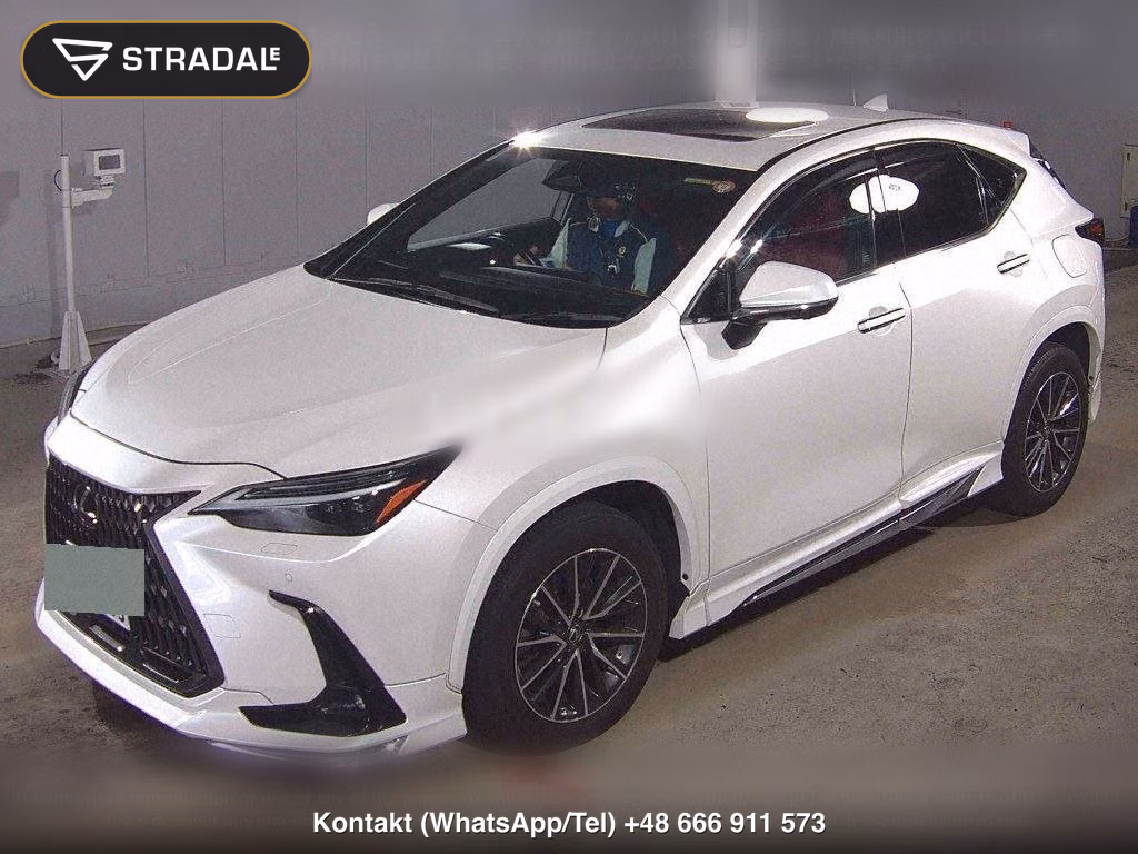 LEXUS NX 4WD NX250, miniaturka 5