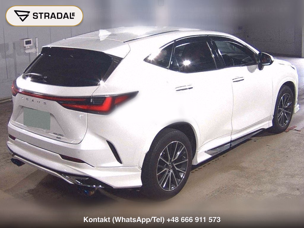 LEXUS NX 4WD NX250, miniaturka 6