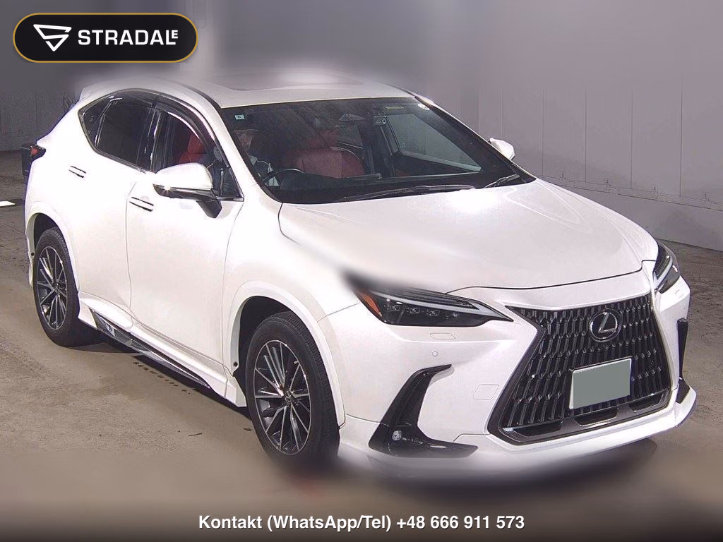 LEXUS NX 4WD NX250 2022, aukcja z Japonii, zdjęcie 1