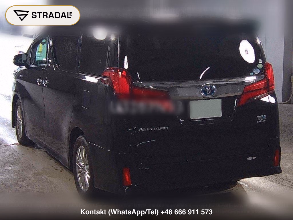 TOYOTA ALPHARD HYBRID 4WD SR C PACKAGE, miniaturka 3