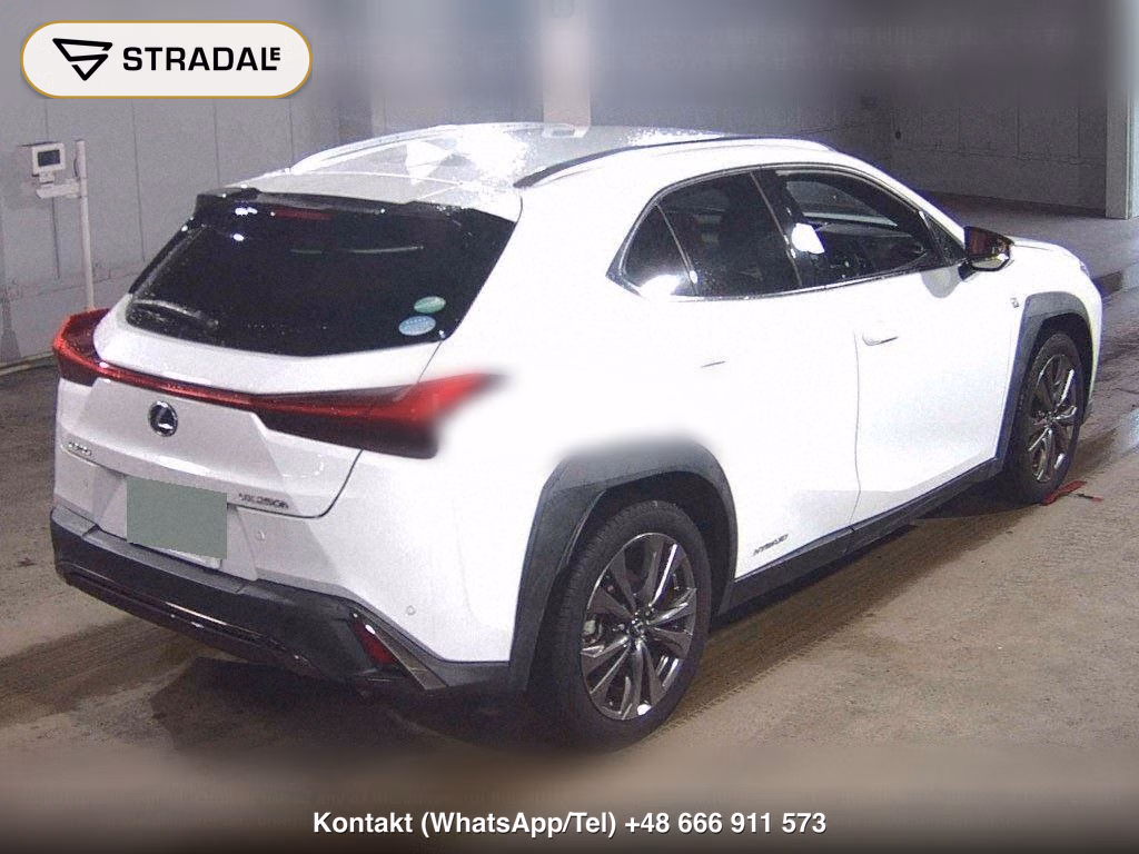 LEXUS UX UX250H F SPORT, miniaturka 6