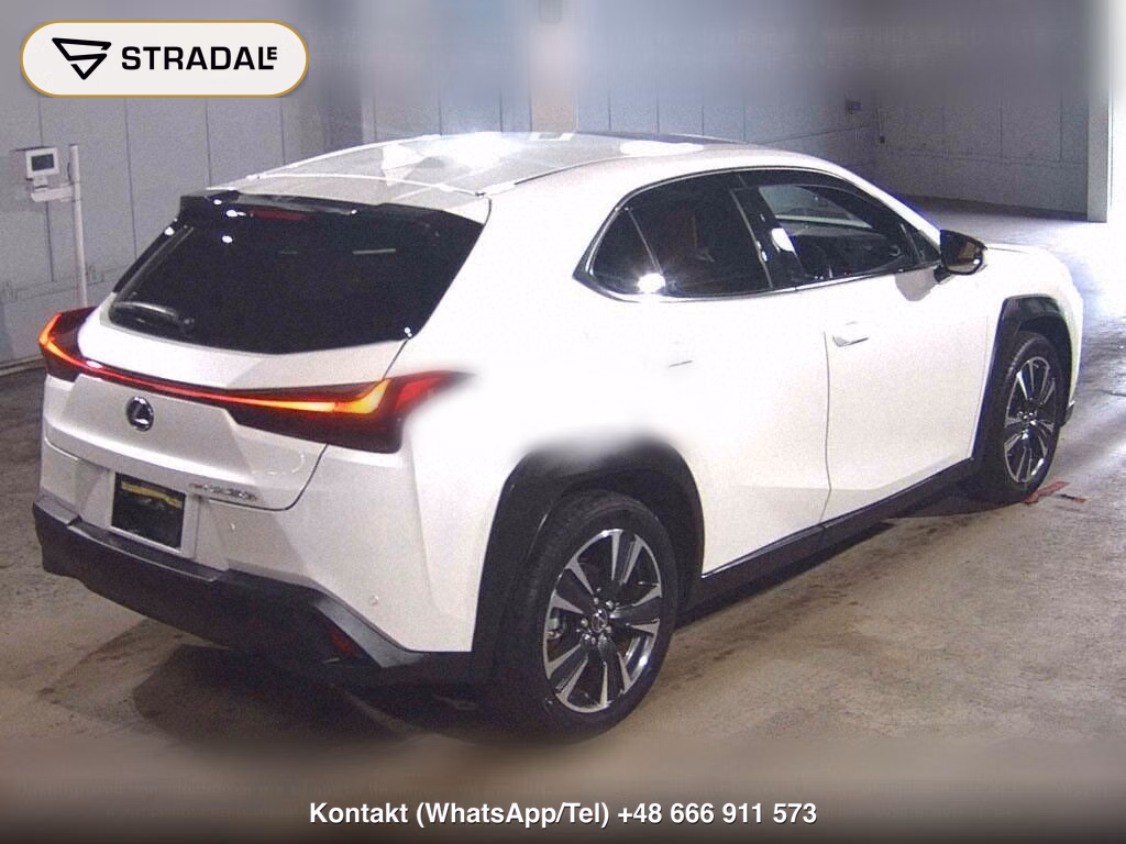 LEXUS UX 4WD UX250H VERSION L, miniaturka 6