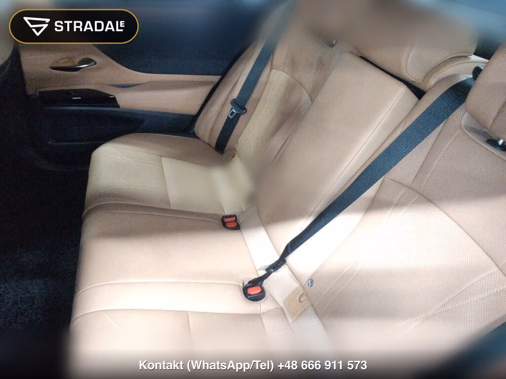LEXUS ES ES300H VERSION L, miniaturka 7