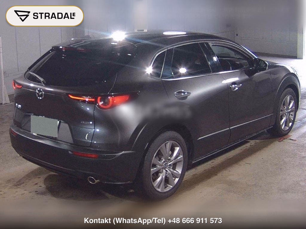 MAZDA CX-30 XD L PACKAGE, miniaturka 6