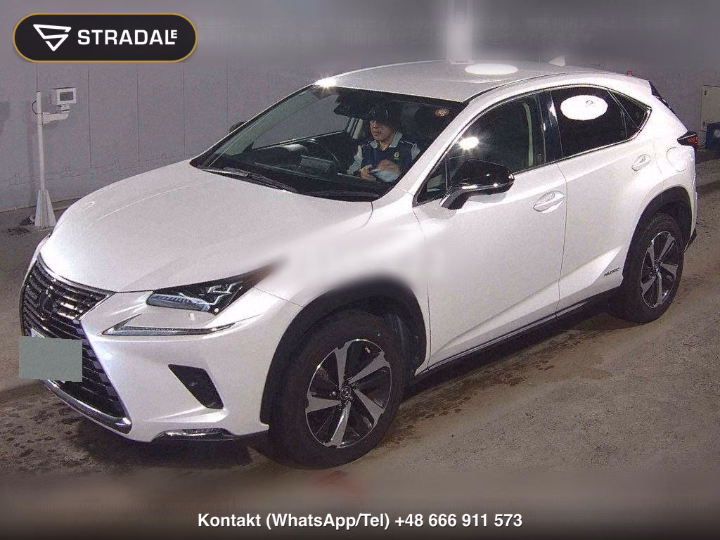LEXUS NX NX300H I PACKAGE, miniaturka 5