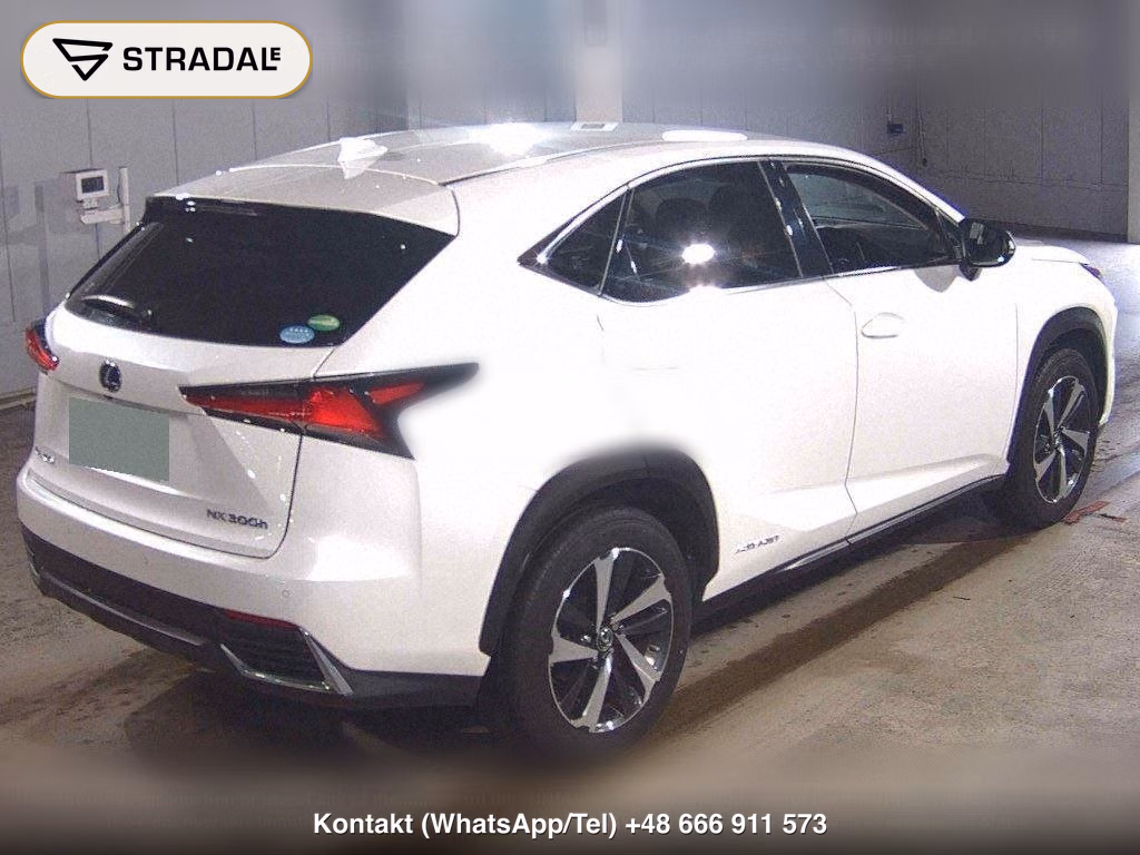 LEXUS NX NX300H I PACKAGE, miniaturka 6