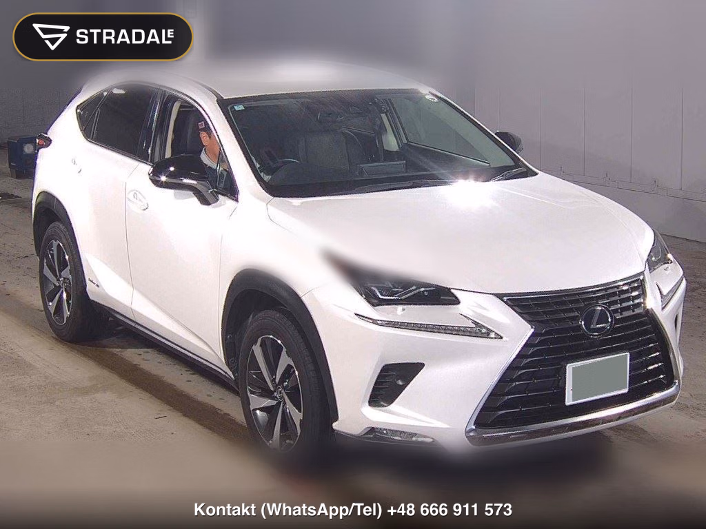 LEXUS NX NX300H I PACKAGE 2020, aukcja z Japonii, zdjęcie 1