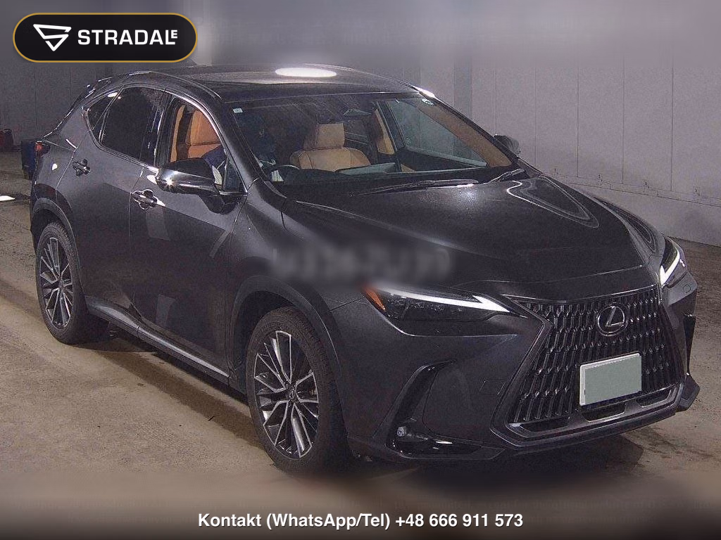 LEXUS NX NX250 VERSION L, miniaturka 2