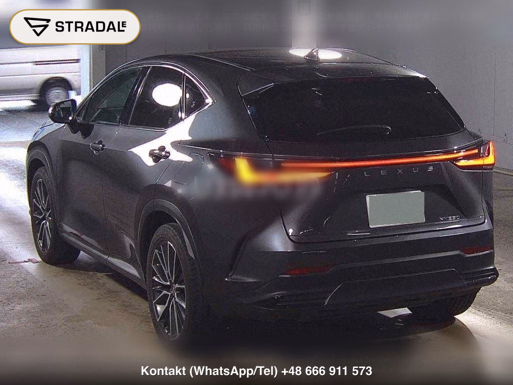 LEXUS NX NX250 VERSION L, miniaturka 3