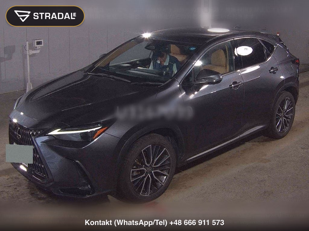 LEXUS NX NX250 VERSION L, miniaturka 5