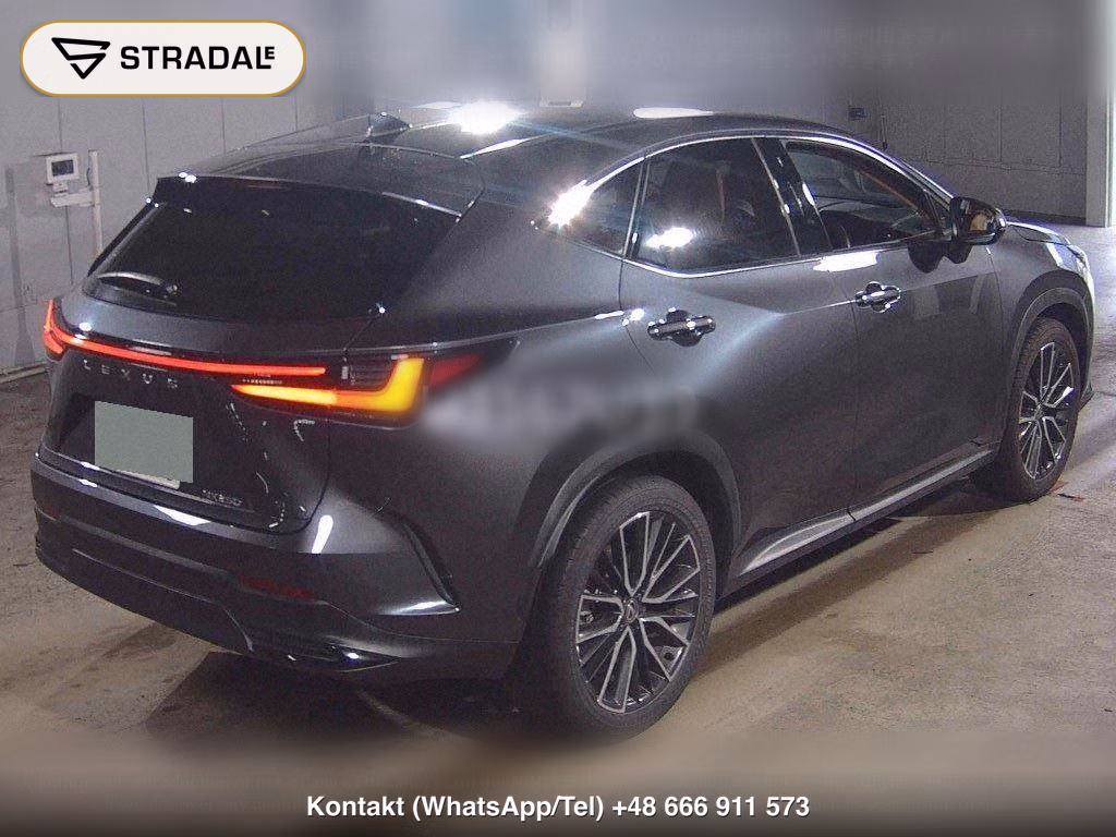 LEXUS NX NX250 VERSION L, miniaturka 6