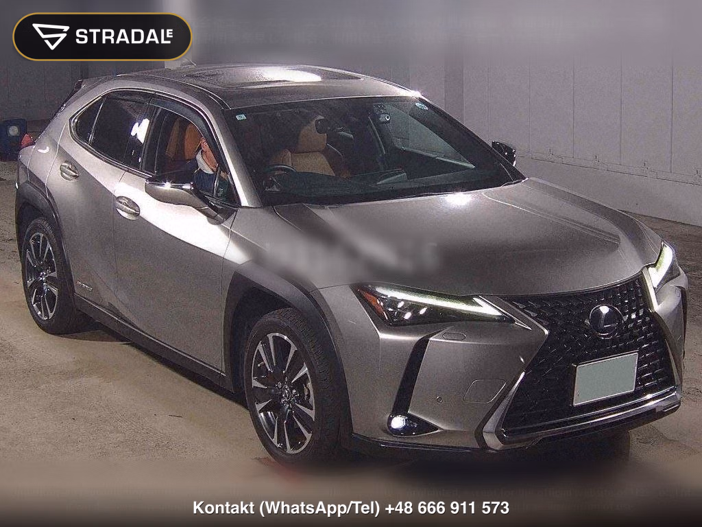 LEXUS UX 4WD UX250H VERSION L, miniaturka 2
