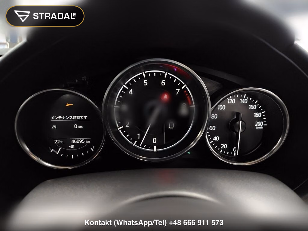 MAZDA ROADSTER S LEATHER PACKAGE WHITE SELECTION, miniaturka 7