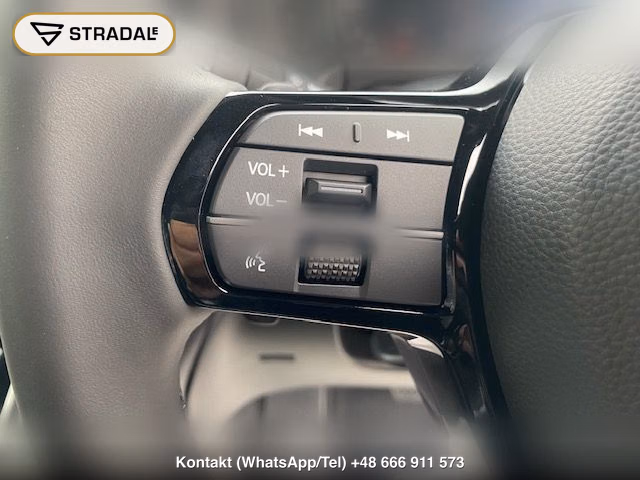 HONDA STEPWAGON SPADA 4WD SPADA PREMIUM LINE, miniaturka 12