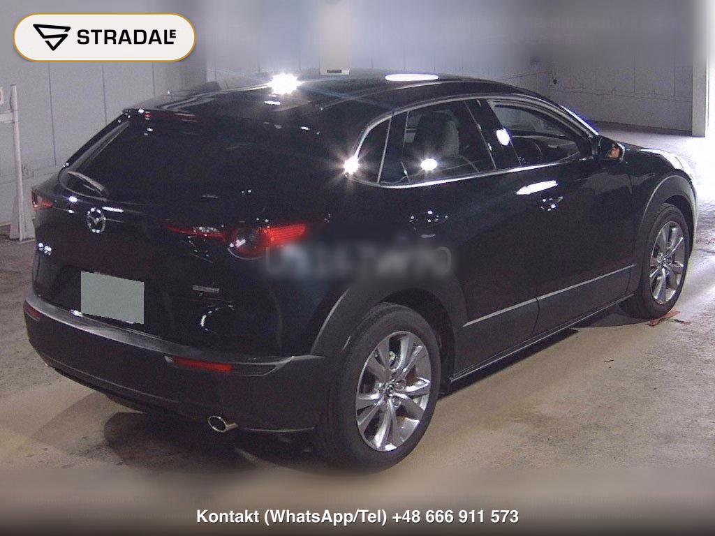 MAZDA CX-30 20S TOURING, miniaturka 6