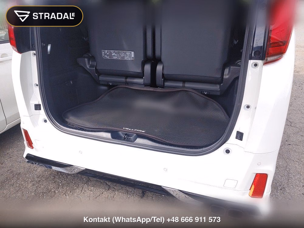 TOYOTA ALPHARD 2.5S C PACKAGE, miniaturka 12