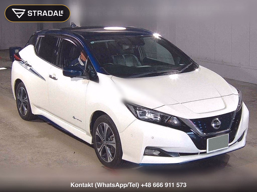 NISSAN LEAF E+ G, miniaturka 2