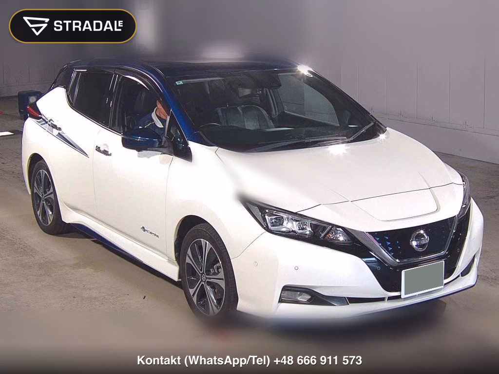 NISSAN LEAF E+ G 2020, aukcja z Japonii, zdjęcie 1
