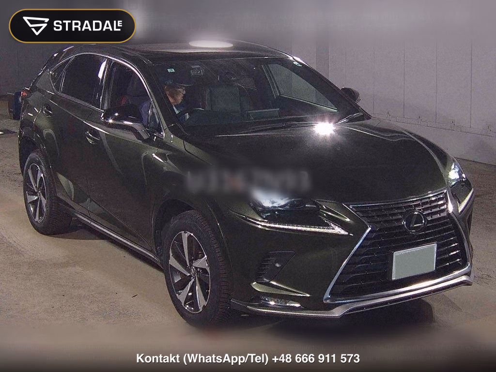 LEXUS NX NX300 SPECIAL EDITION SPICE AND CHIC, miniaturka 2