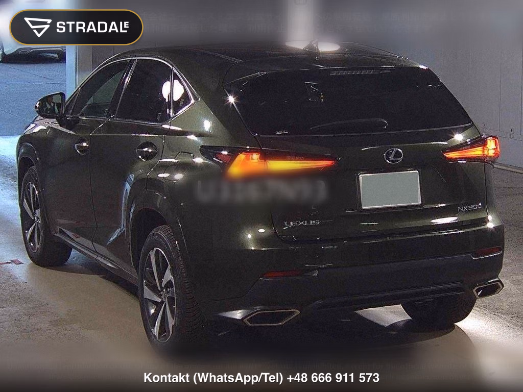 LEXUS NX NX300 SPECIAL EDITION SPICE AND CHIC, miniaturka 3