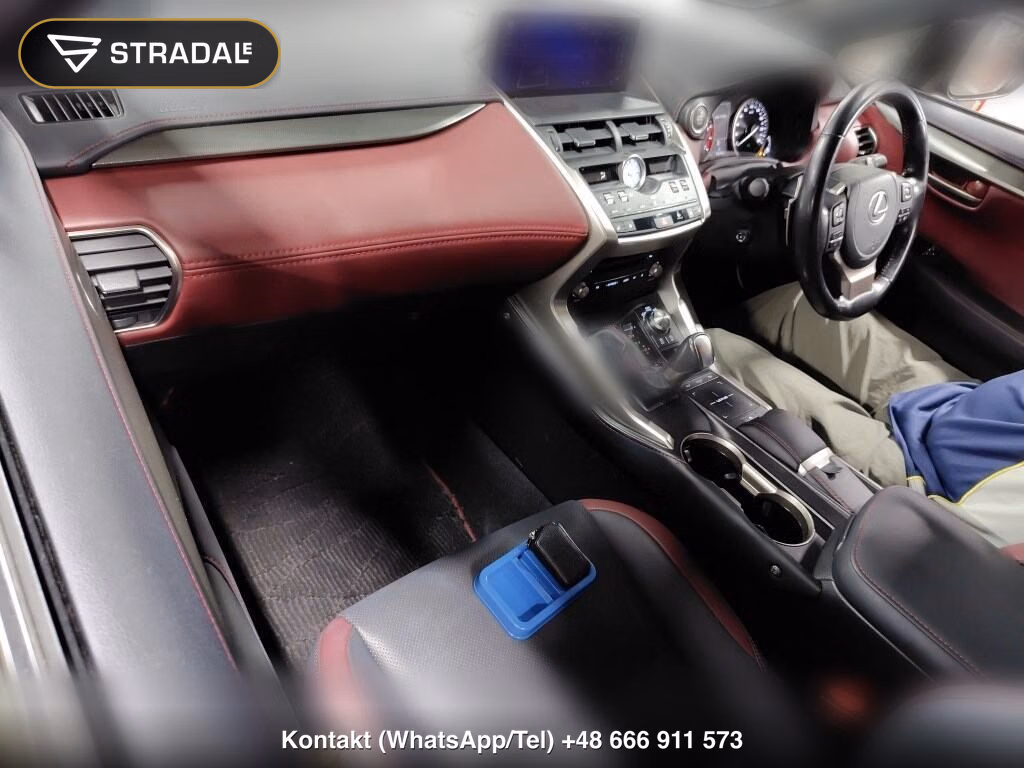 LEXUS NX NX300 SPECIAL EDITION SPICE AND CHIC, miniaturka 4