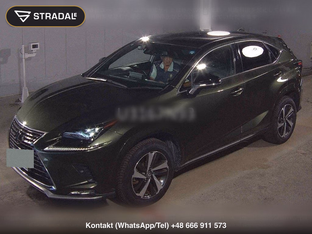 LEXUS NX NX300 SPECIAL EDITION SPICE AND CHIC, miniaturka 5