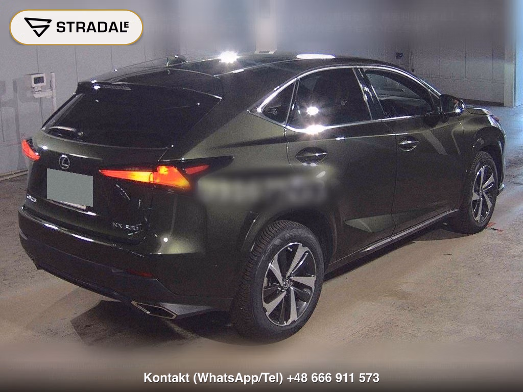 LEXUS NX NX300 SPECIAL EDITION SPICE AND CHIC, miniaturka 6