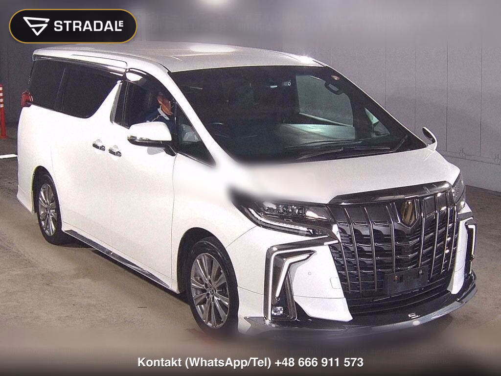 TOYOTA ALPHARD S TYPE GOLDⅢ, miniaturka 2