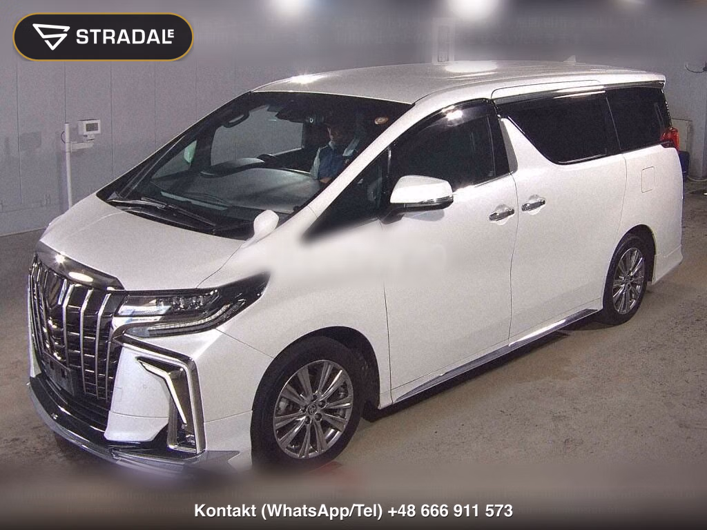 TOYOTA ALPHARD S TYPE GOLDⅢ, miniaturka 5