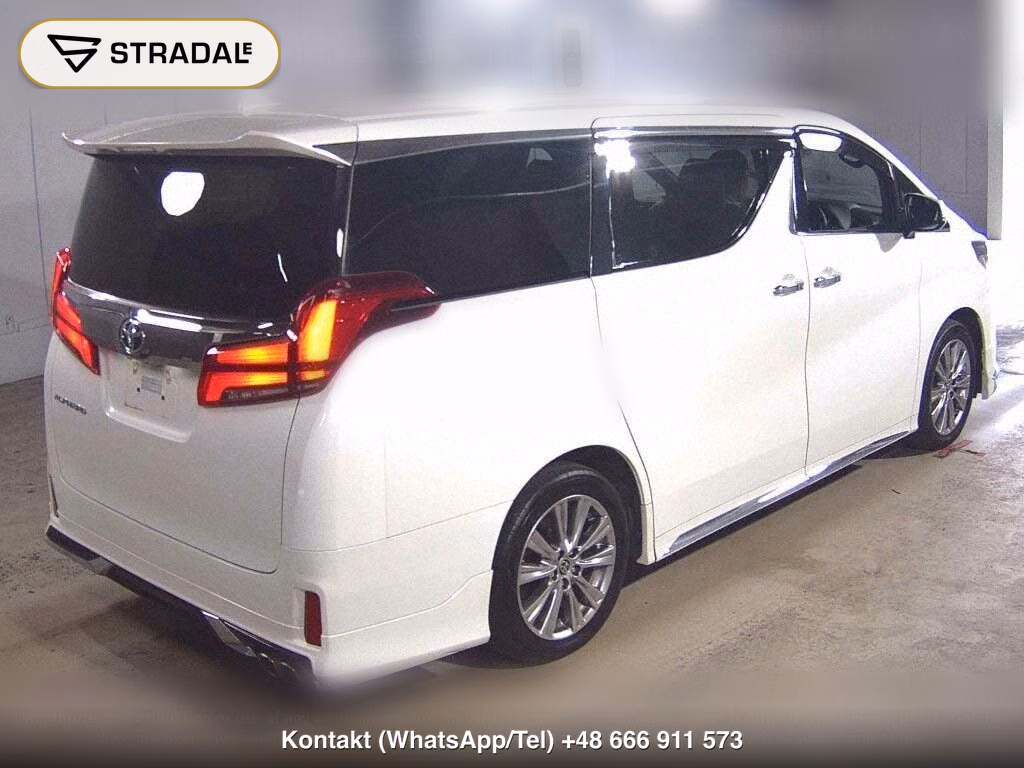 TOYOTA ALPHARD S TYPE GOLDⅢ, miniaturka 6