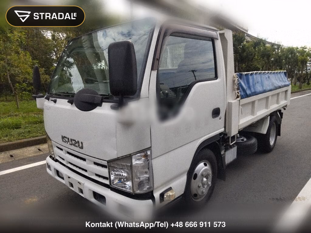 ISUZU ELF TRUCK DUMP, miniaturka 5