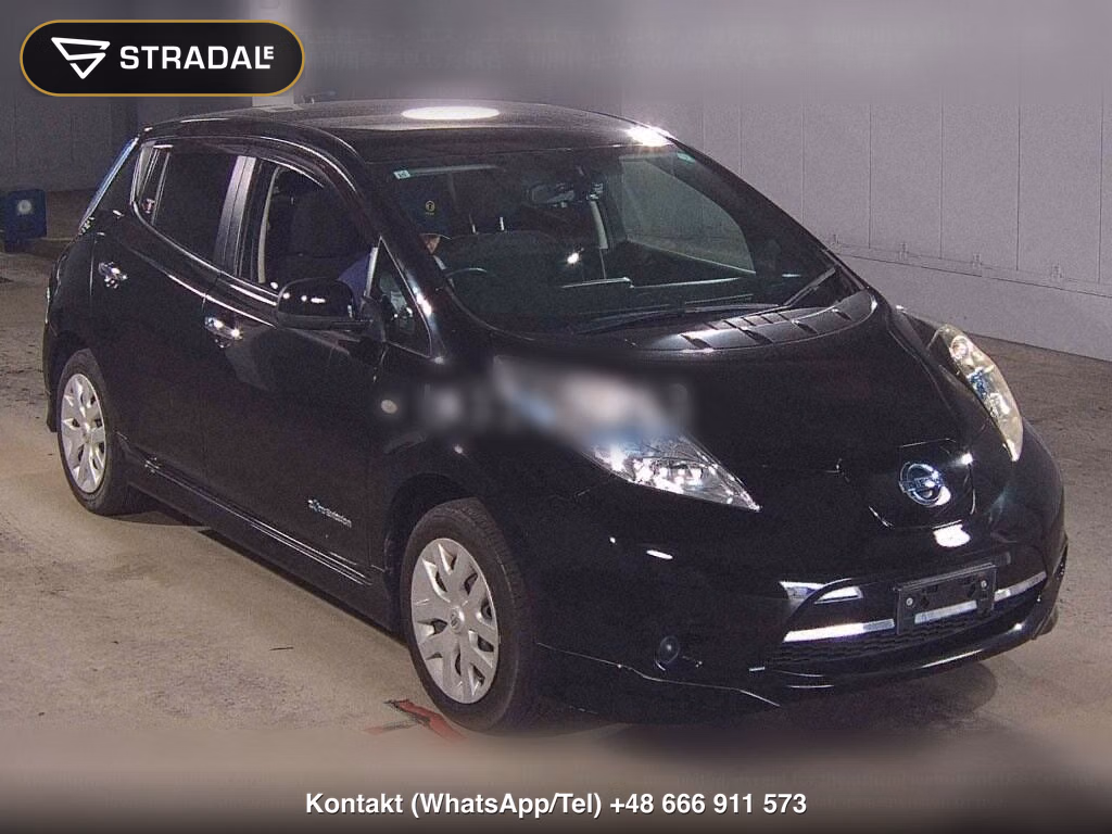 NISSAN LEAF X, miniaturka 2