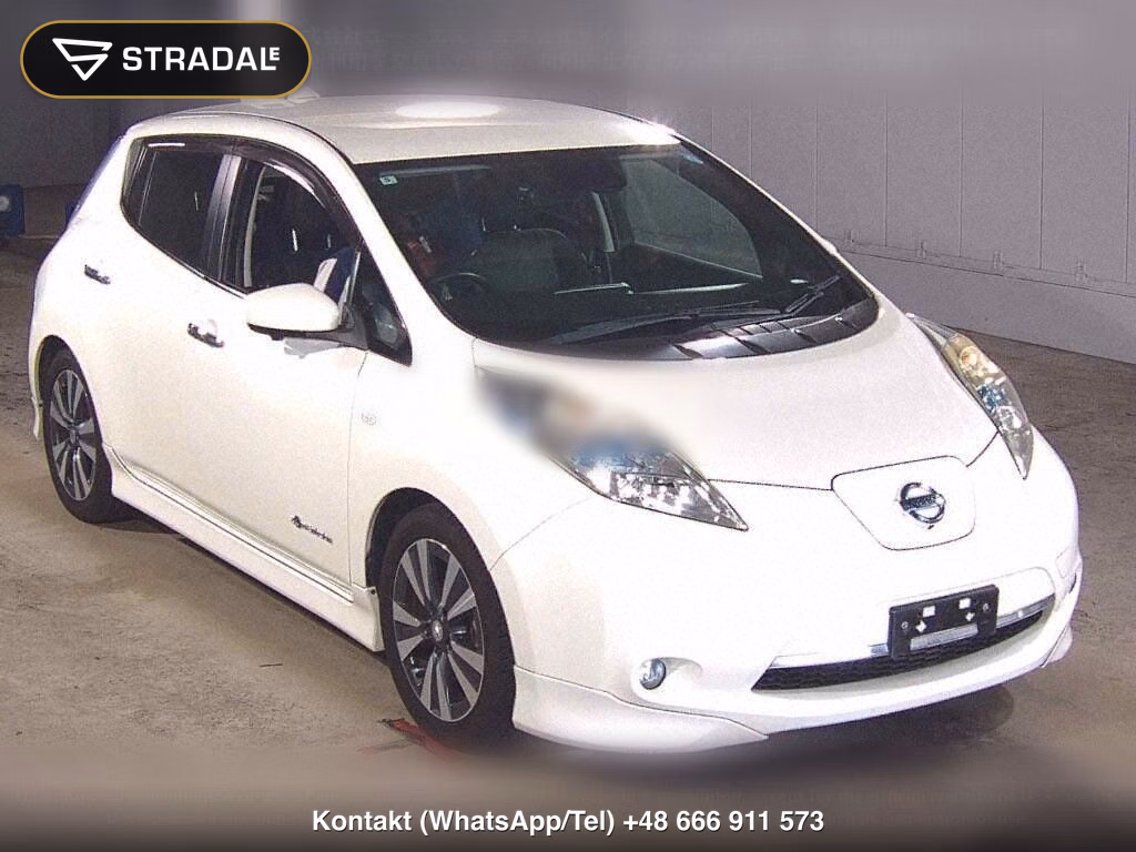 NISSAN LEAF G THANKS EDITION (30KWH), miniaturka 2