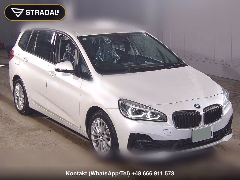 BMW 2 SERIES 5D OTHERS 2019, aukcja z Japonii, zdjęcie 1