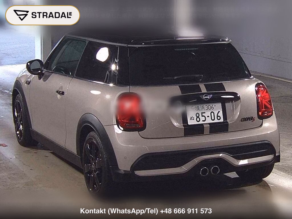 MINI MINI 3D COOPER S, miniaturka 3